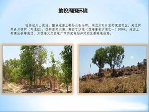 柬埔寨西哈努克港80公頃旅游地產(chǎn)開(kāi)發(fā)項(xiàng)目推薦