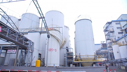 泰州口岸上半年大豆進口量領跑全省，糧油倉儲服務持續優化